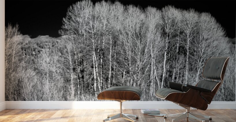 Winters Light Dancers Wall Murals