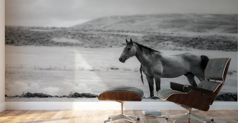 Solitary Majesty   Wind River Sentinel Wall Murals