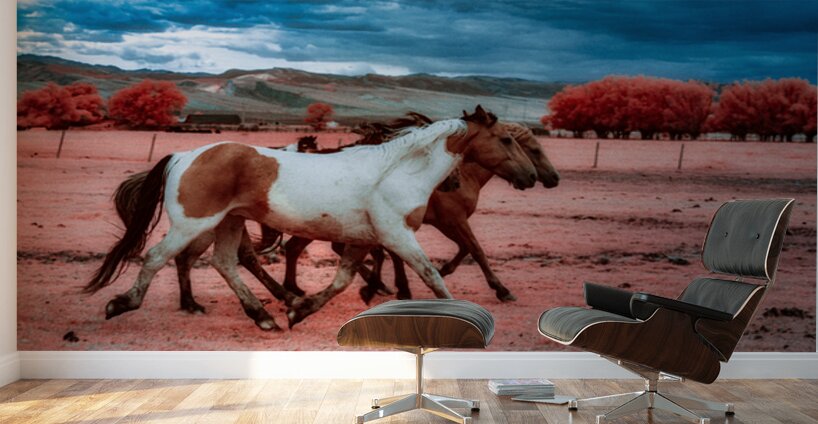 Thunders Dance   Wild Spirit Unleashed Wall Murals