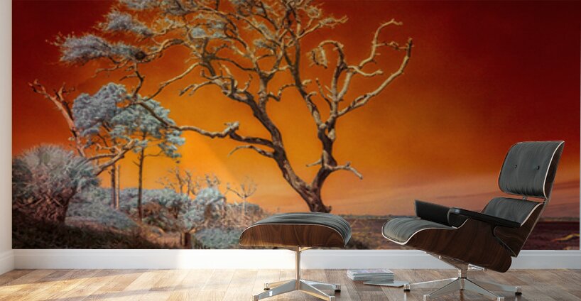 Ruby Bonsai: A Botanical Marvel Unveiled on Driftwood Beach Wall Murals