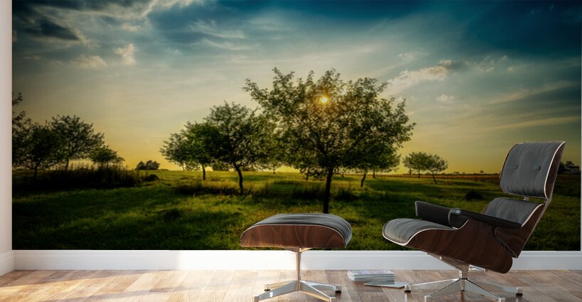 Golden Hour Symphony: Trostle Farms Enchanting Ambiance at Getty Wall Murals