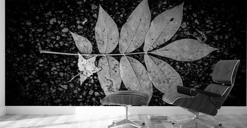 Autumns Solitude: Single Leaf Portrait Wall Murals