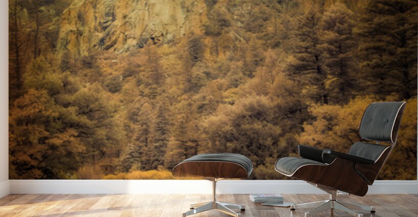 Reflections of a Rain Kissed Road Wall Murals