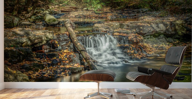 Small falls on Kitchen Creek Wall Murals