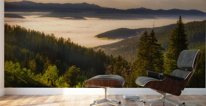 Valley of Dreams   Teton Pass Summit Wall Murals