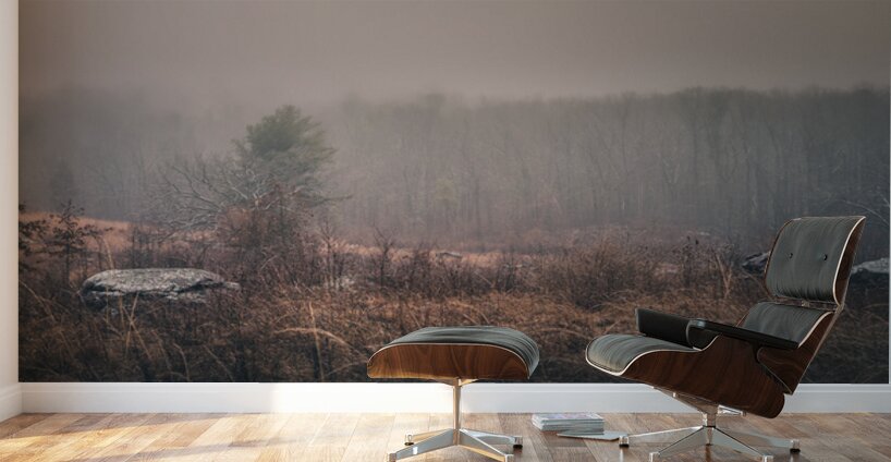 Winters Whispers Wall Murals