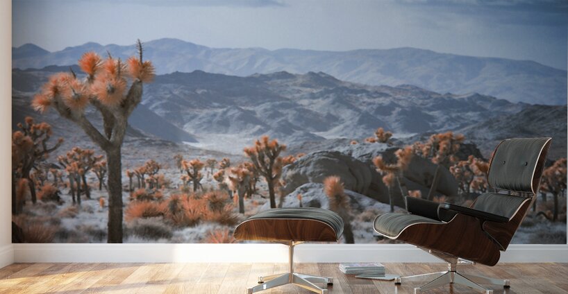 Deserts Spiky Palette Wall Murals