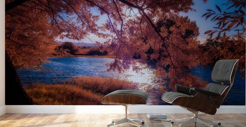 Copper Dreams at Lander Lake Wall Murals