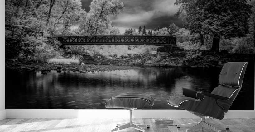 Crossing Into Dreams Wall Murals