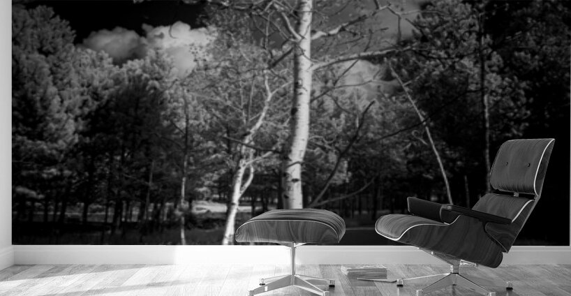 Aspen Reverie: Ansels Inspiration Wall Murals