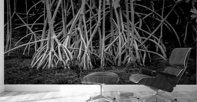 Enchanting Mangrove Tapestry: A Dance of Light and Shadows Wall Murals