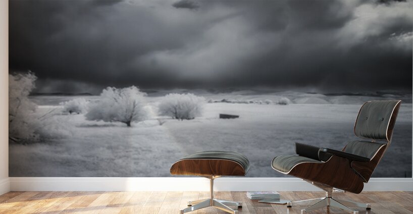 Prairie Solitude   Wyoming Minimalism Wall Murals