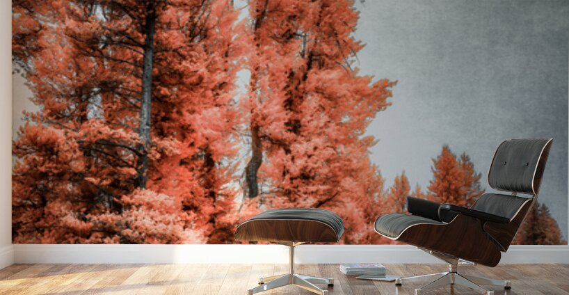 Lakeside Autumn Blaze   Infrared Fire Wall Murals