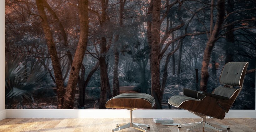 Where the Light Finds You Wall Murals