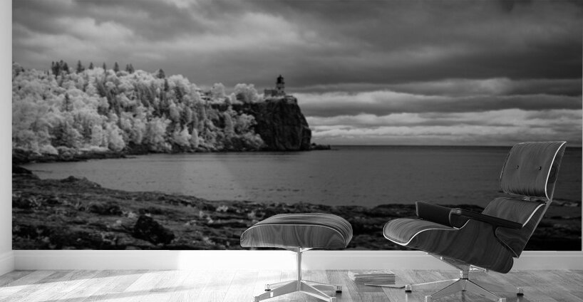 Guardian of the Infinite Shore Wall Murals