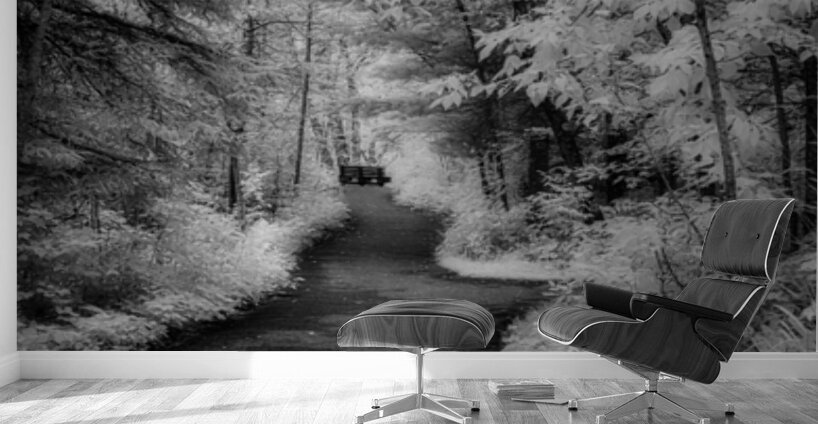 Path Through the Enchanted Forest Wall Murals