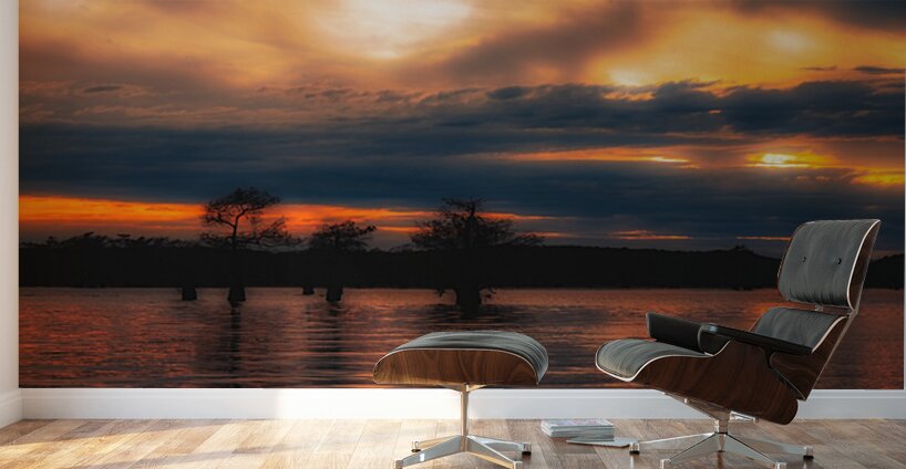 Breaking Through Wall Murals