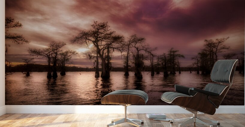 Twilights Last Whisper Wall Murals