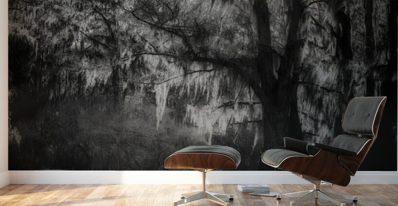 Veils of Time Wall Murals