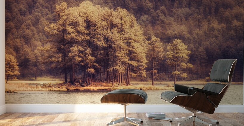 Stockade Lake Tree Island Hazy Wall Murals