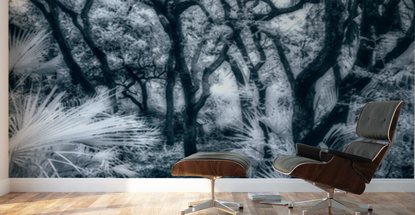 Enchanted Passage: Blue Dawn in the Oaks Wall Murals