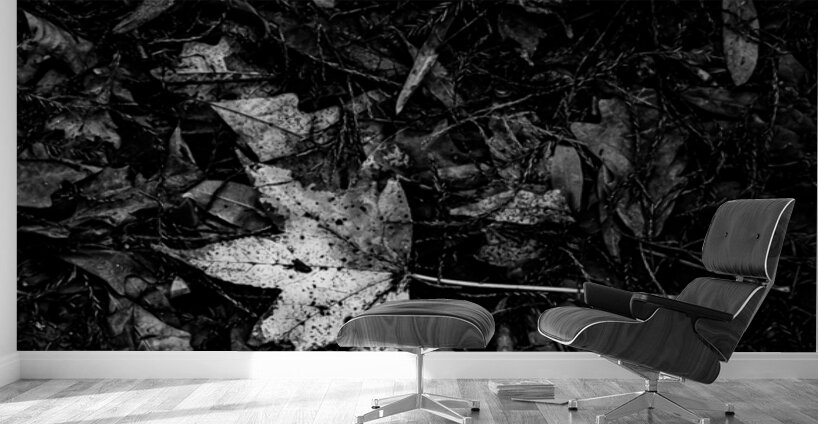 Relic in the Shadows Wall Murals