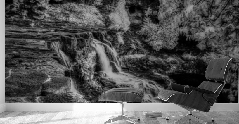 Hidden Sanctuary of the North Woods Wall Murals