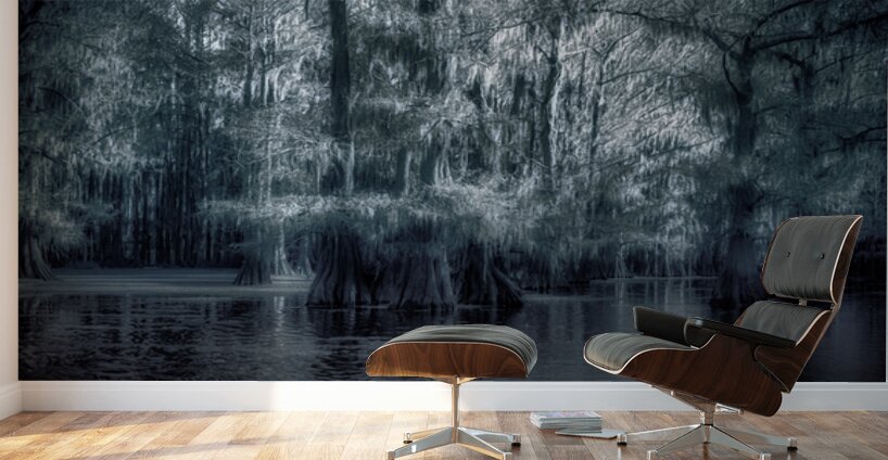 Twilight Between Worlds Wall Murals
