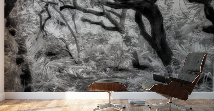 Twilight Reverie: Pathways in Shadow and Light Wall Murals