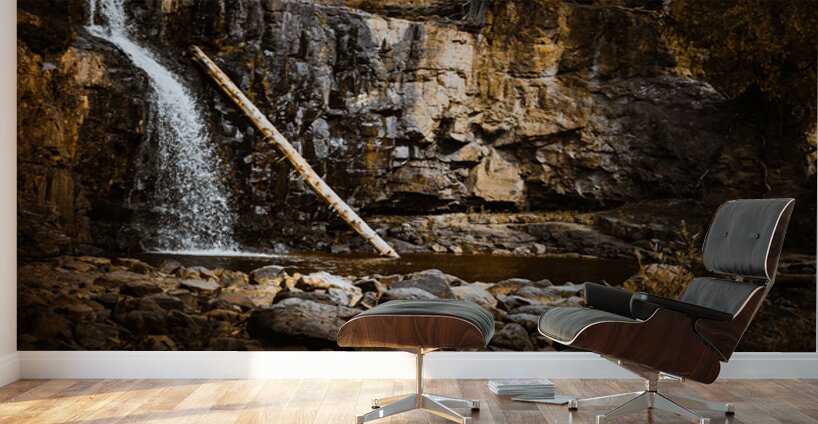 The Fallen Guardian Wall Murals