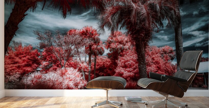 Where the Palms Turn to Ember Wall Murals