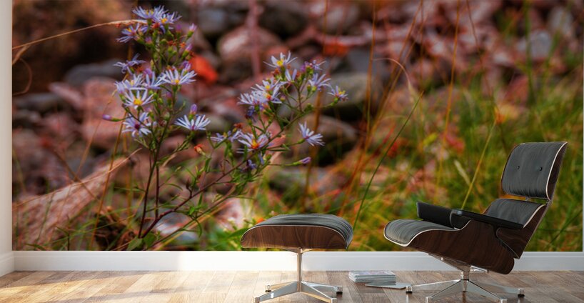 Autumns Last Dance Wall Murals