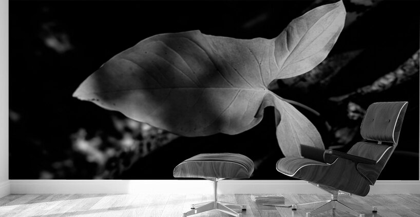 Two Notes of Light Wall Murals