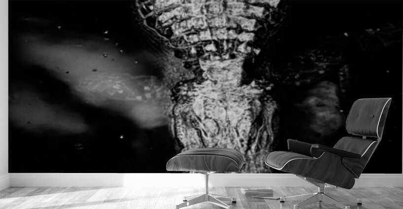 The Armor Beneath the Surface Wall Murals