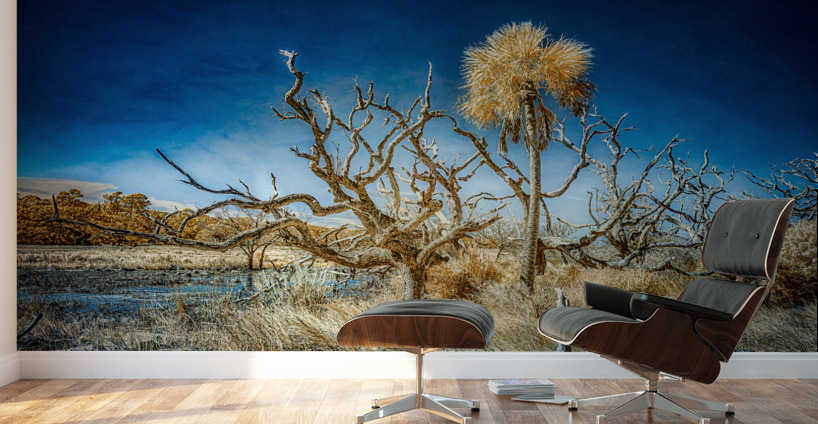 Isolated Serenity: Rows End Wall Murals