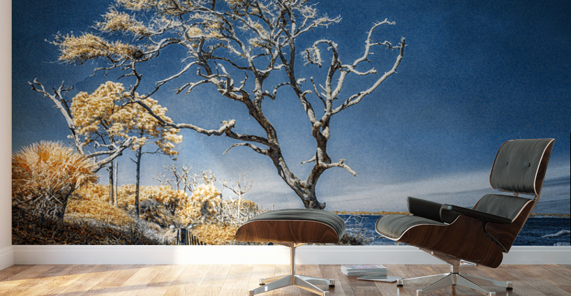 Blue Bonsai: A Botanical Marvel Unveiled on Driftwood Beach Wall Murals