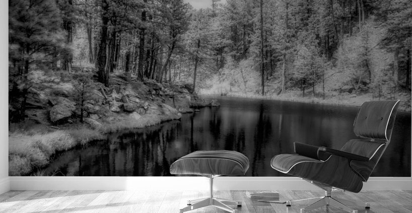 Whispers of Nature: Immersing in the Surreal Beauty of South Dakotas Wilderness Wall Murals