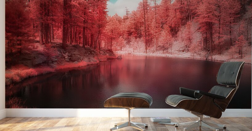 Radiant Tranquility: A Stroll Along Grace Coolidge Lakes Infrared Wonderland in South Dakota Wall Murals