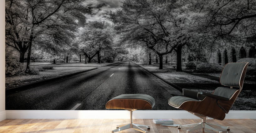 Eufaula Elegance: A Monochromatic Journey Through Time Wall Murals