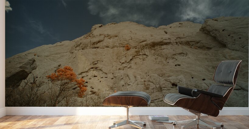 Orange Mountain Tree Wall Murals