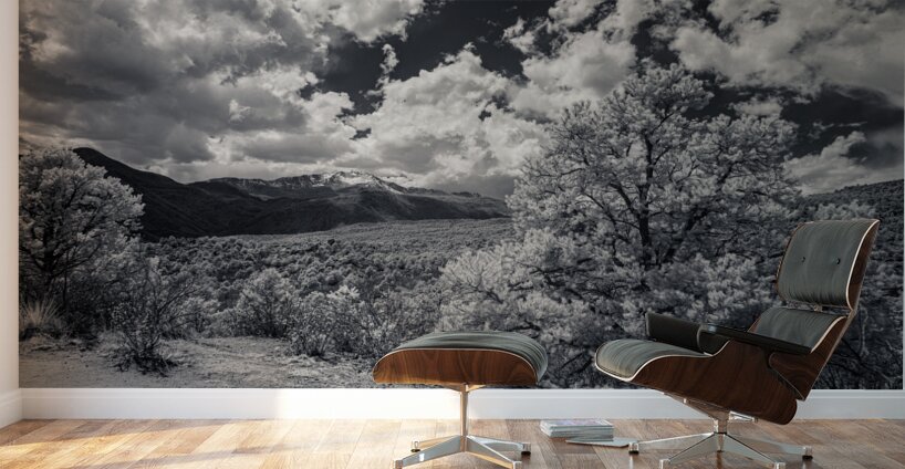 Trail to Majesty: A Glimpse Beyond on Scotchman Trail Garden of the Gods Wall Murals