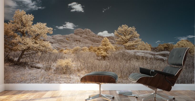 Scotchman Trail -2 Wall Murals