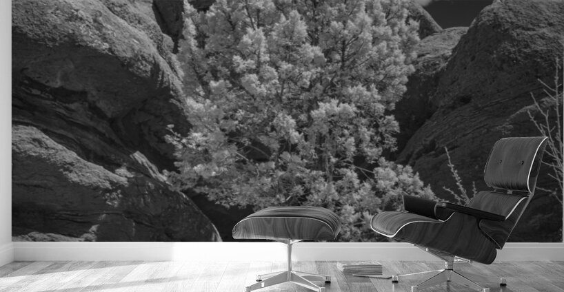 Rock Tree Wall Murals