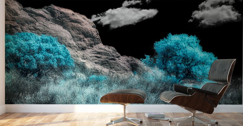 Majestic Rock Wall: Exploring Garden of the Gods Blue Mountain Trees Wall Murals