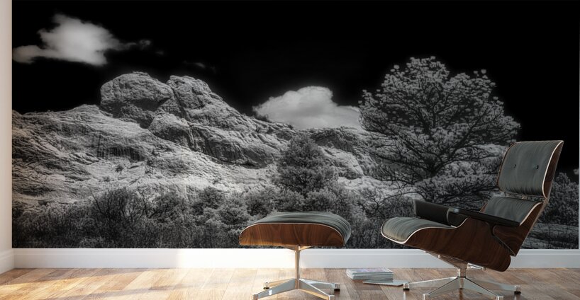 Timeless Terrain: The Scotsman Trail Wall Murals