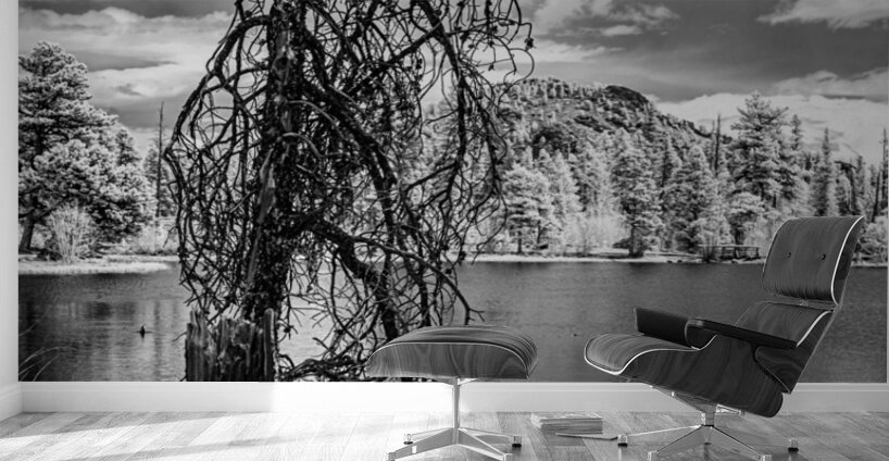 Mountain Lake Dead Tree Wall Murals