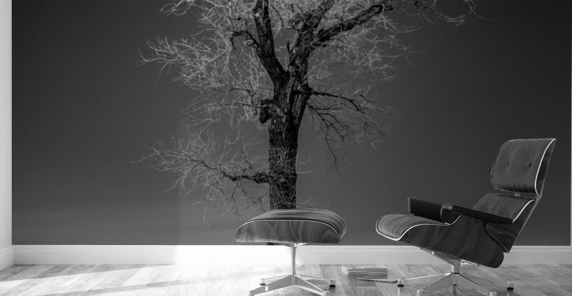 Winters Solitary Sentinel Wall Murals