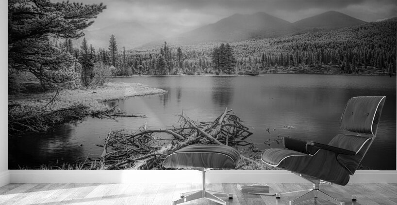 Fallen Sentinels: Rocky Mountain National Park Wall Murals