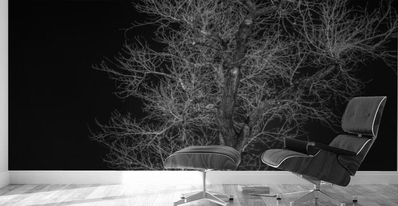 Winters Neural Network Wall Murals