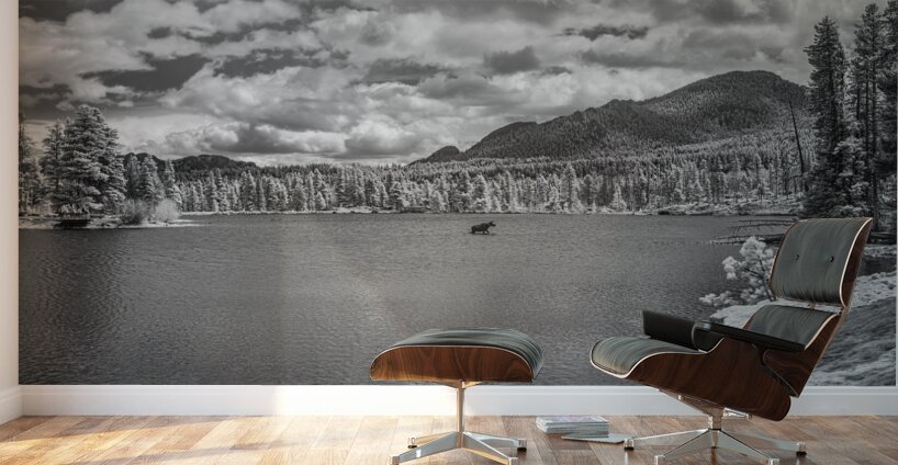 Wild Harmony - A Journey into Natures Beauty Wall Murals